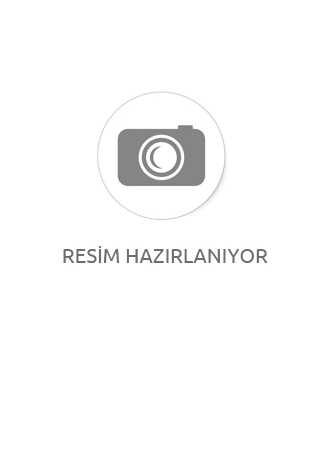 Stella Gold Çoklu Mini Çelik Küpe Seti
